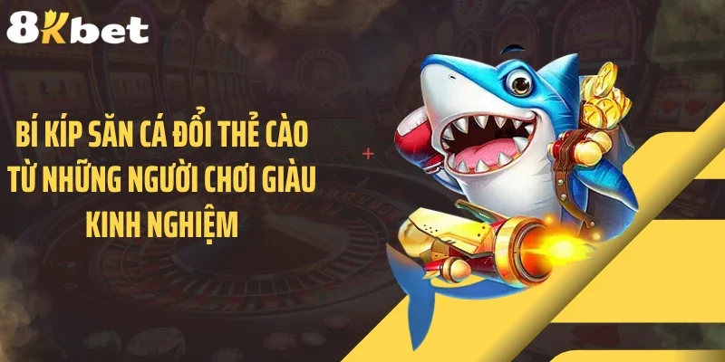 Bí kíp săn cá đổi thẻ cào từ những người chơi giàu kinh nghiệm