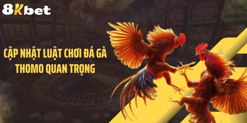 Cập nhật luật chơi đá gà Thomo quan trọng