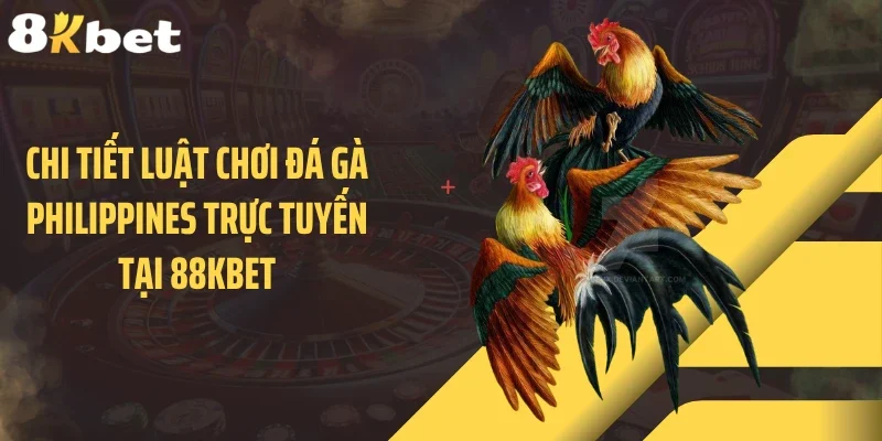 Chi tiết luật chơi đá gà Philippines trực tuyến tại 88KBET