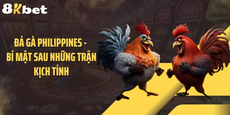Đá Gà Philippines - Bí Mật Sau Những Trận Kịch Tính