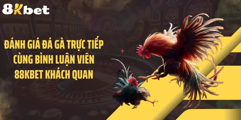 Đánh giá đá gà trực tiếp cùng bình luận viên 88KBET khách quan
