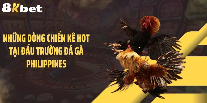 Những dòng chiến kê hot tại đấu trường đá gà Philippines
