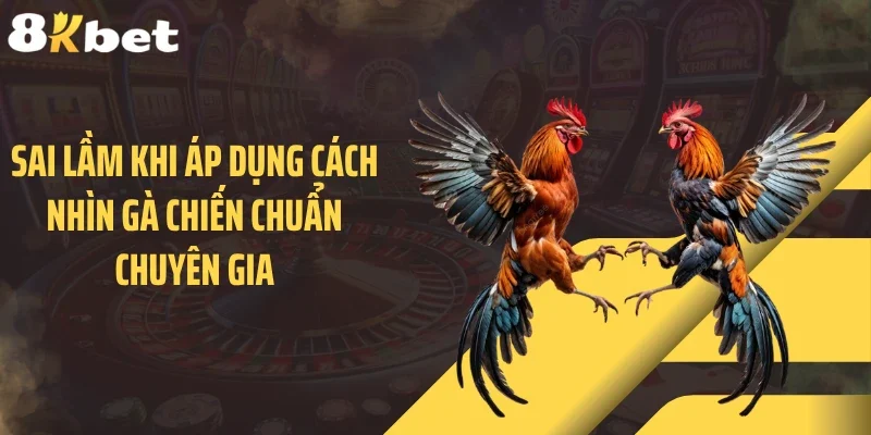 Sai lầm khi áp dụng cách nhìn gà chiến chuẩn chuyên gia