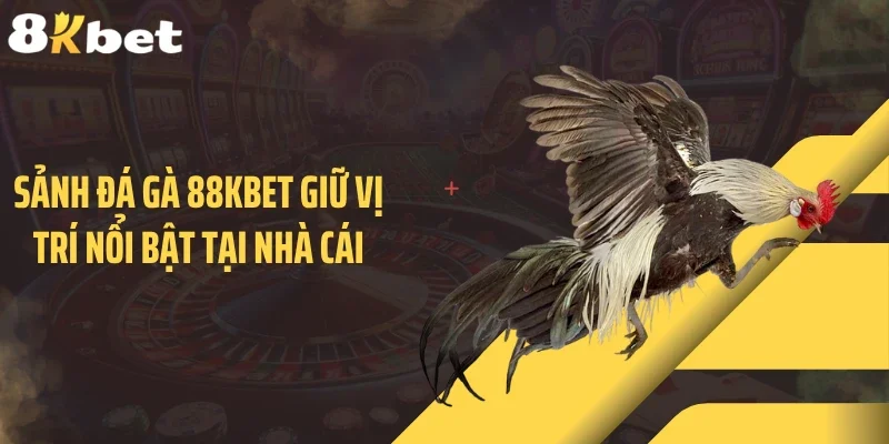 Sảnh đá gà 88KBET giữ vị trí nổi bật tại nhà cái