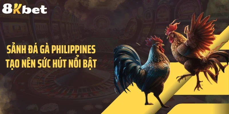 Sảnh đá gà Philippines tạo nên sức hút nổi bật