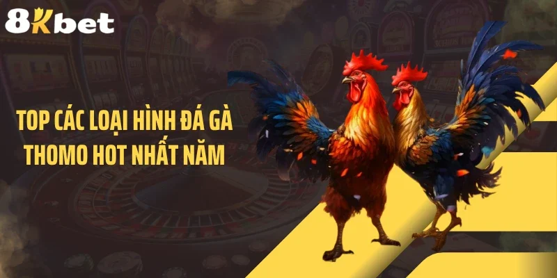 Top các loại hình đá gà Thomo hot nhất năm